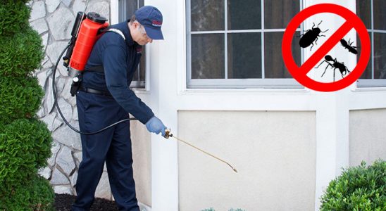 Sivas Böcek İlaçlama böcek ilaçlama ve haşere kontrolü — ilaclama-tr.com